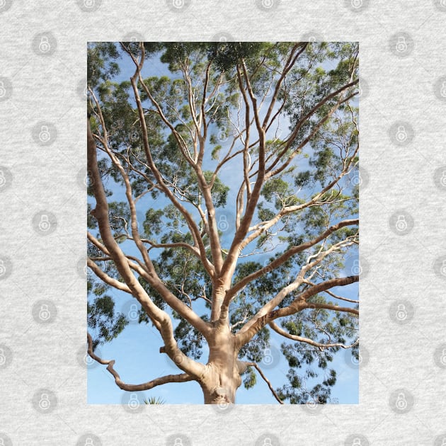 Gumtree Australia by PLANTONE